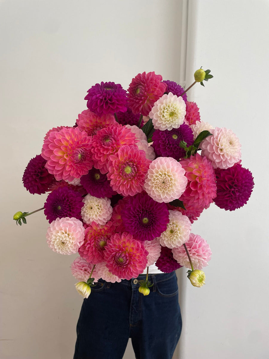 MIXED DAHLIA BOUQUET image 0