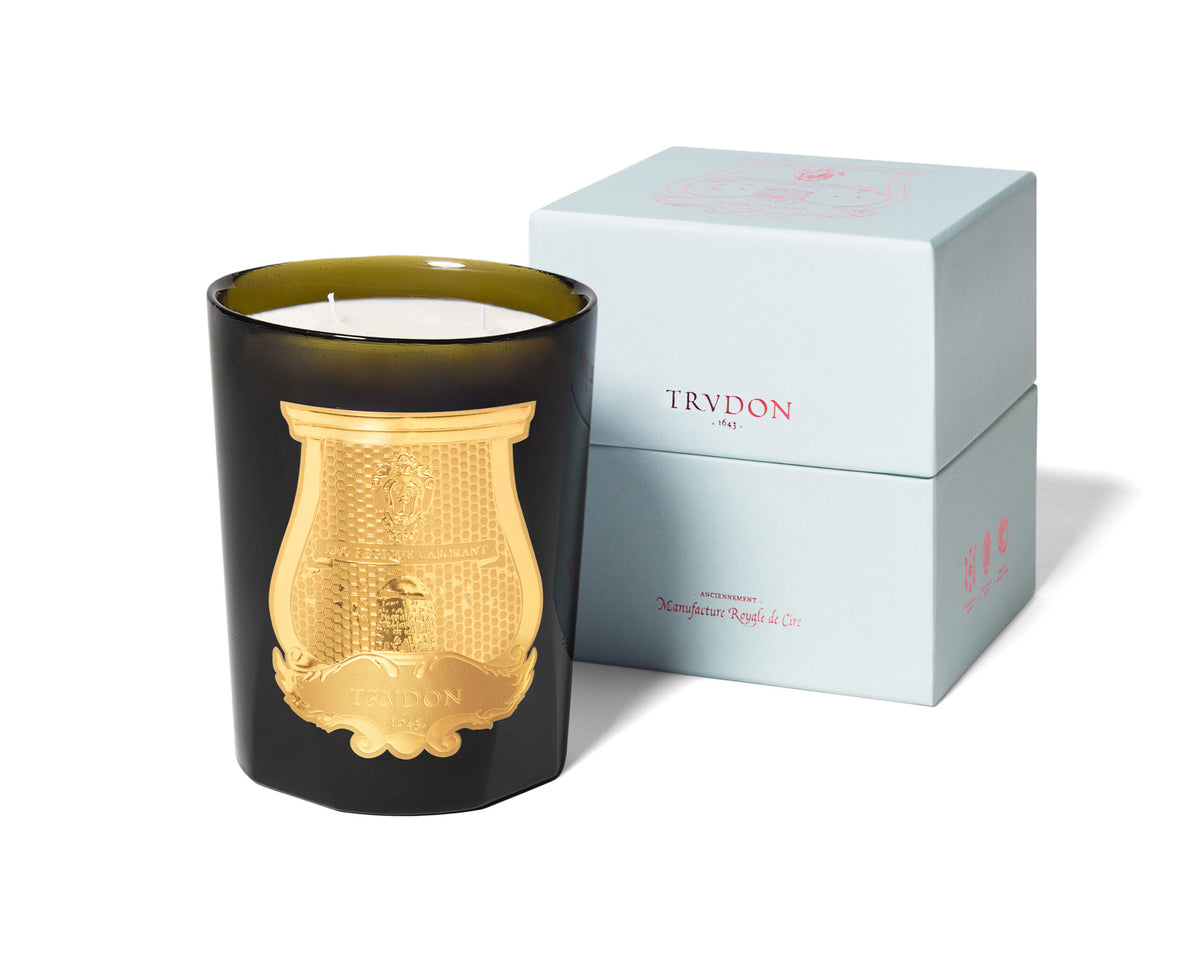 ERNESTO - Leather and Tobacco - 800g image