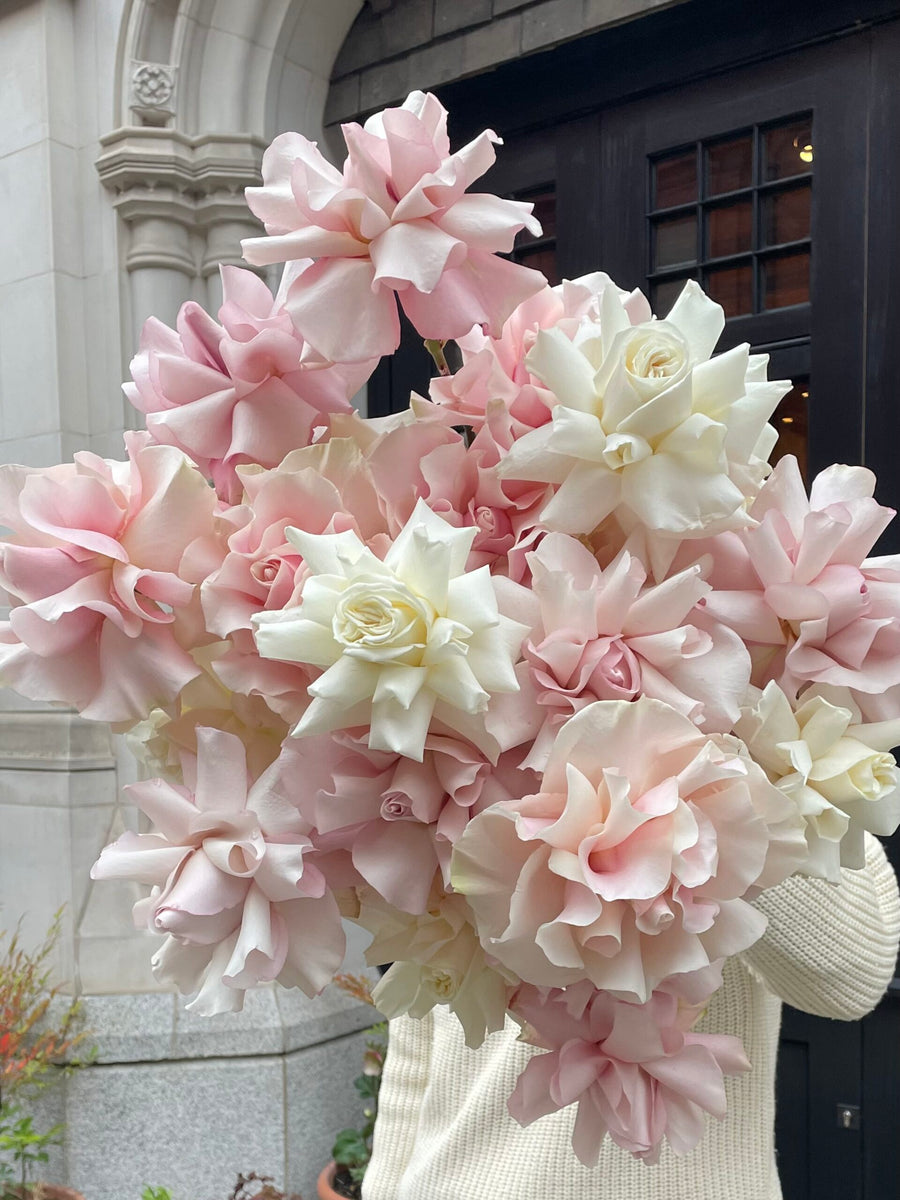 Pale Pink &amp; White Roses Bouquet image 0