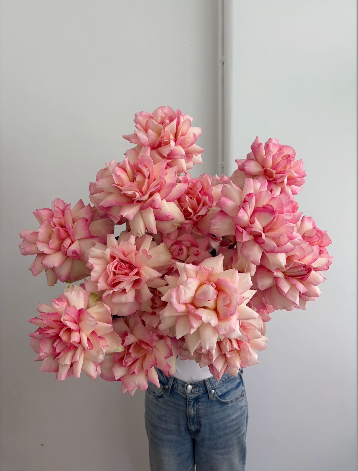 2-tone Rose Bouquet image 0