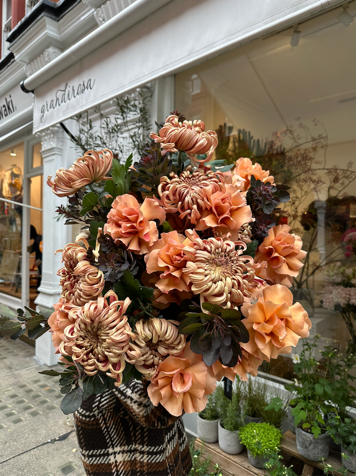Seasonal Mocha Bouquet image 1
