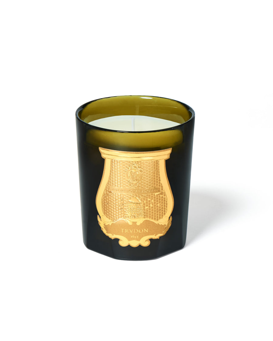 SPIRITUS SANCTI - Incense image 0