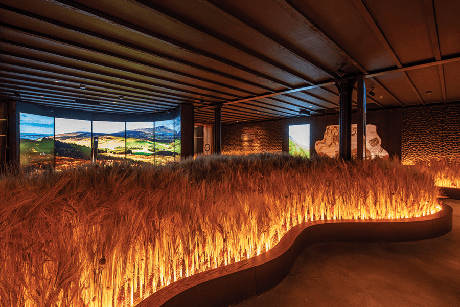 Glenlivet Distillery Barley Field