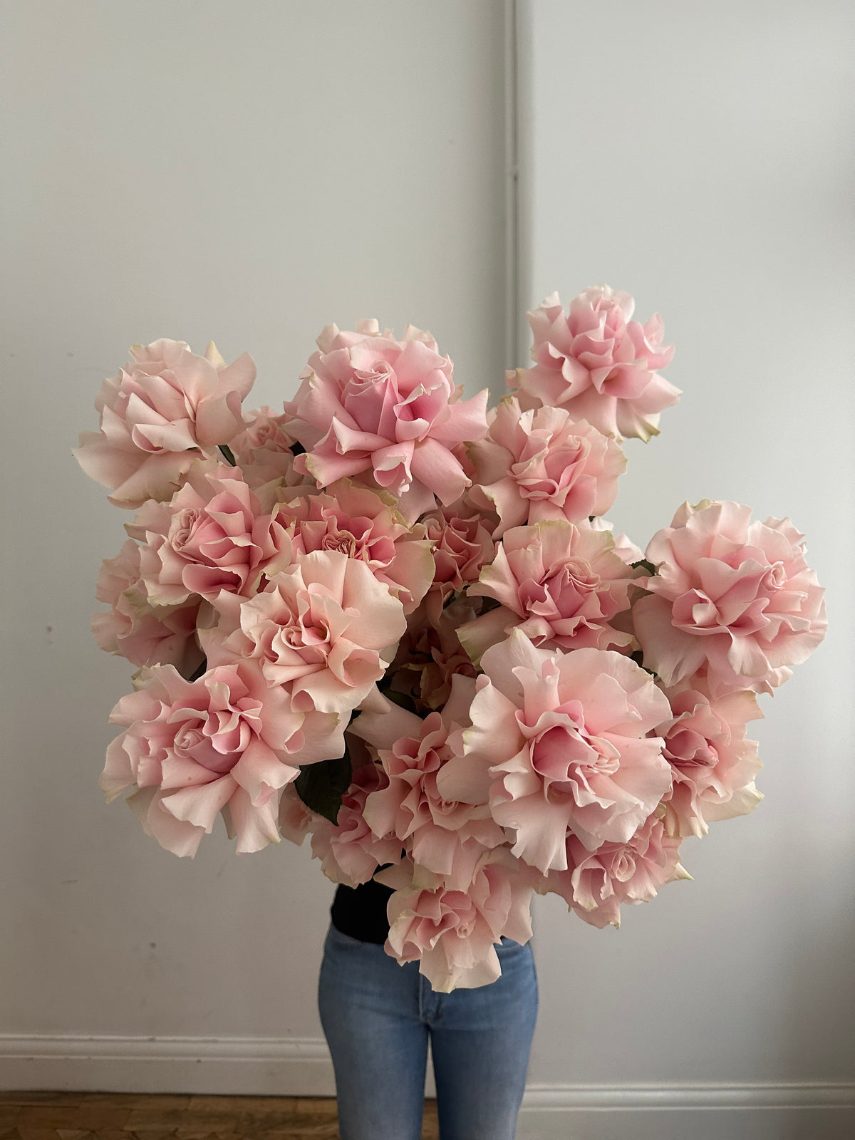 Pale Pink Roses