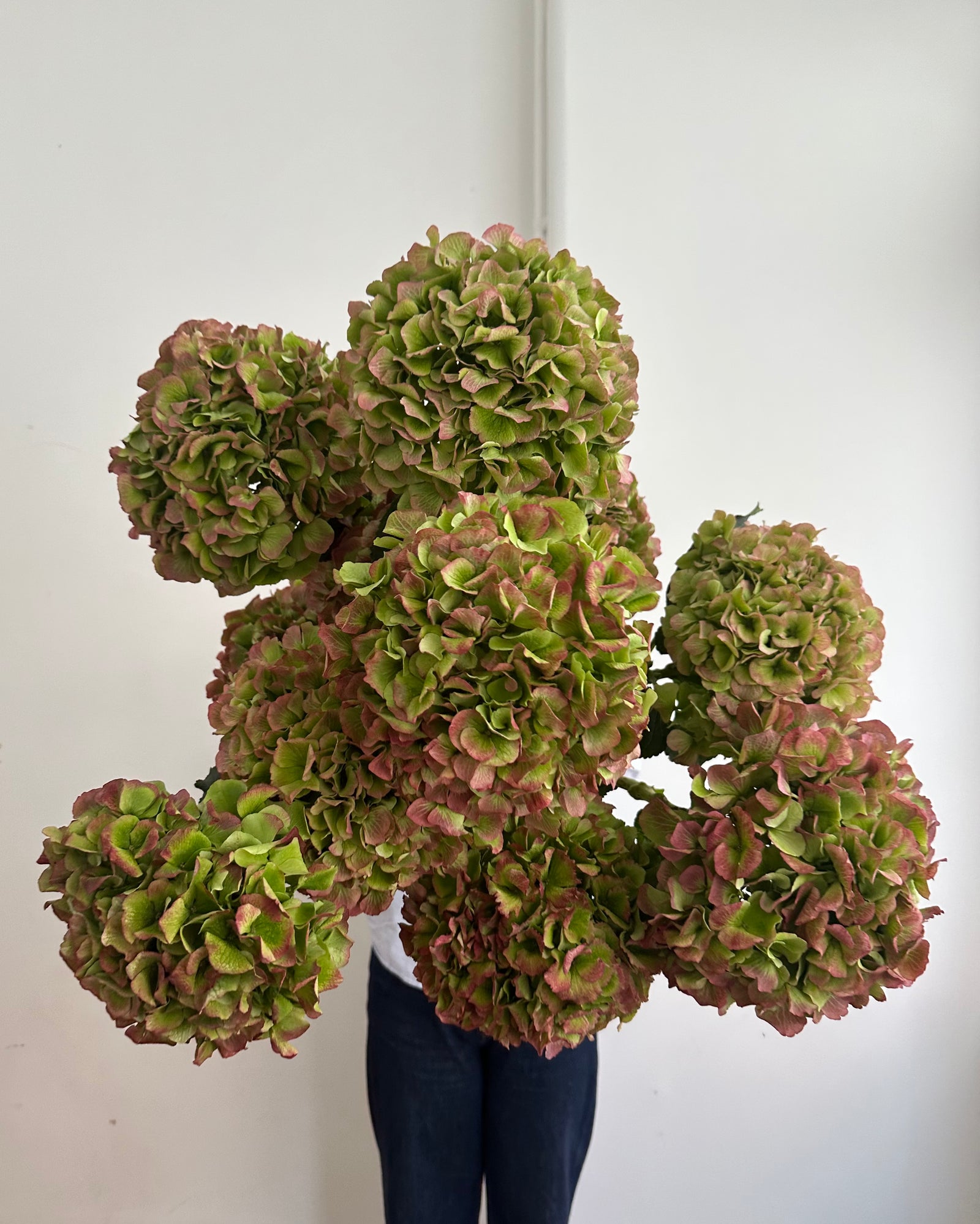 Autumnal Hydrangea Bouquet