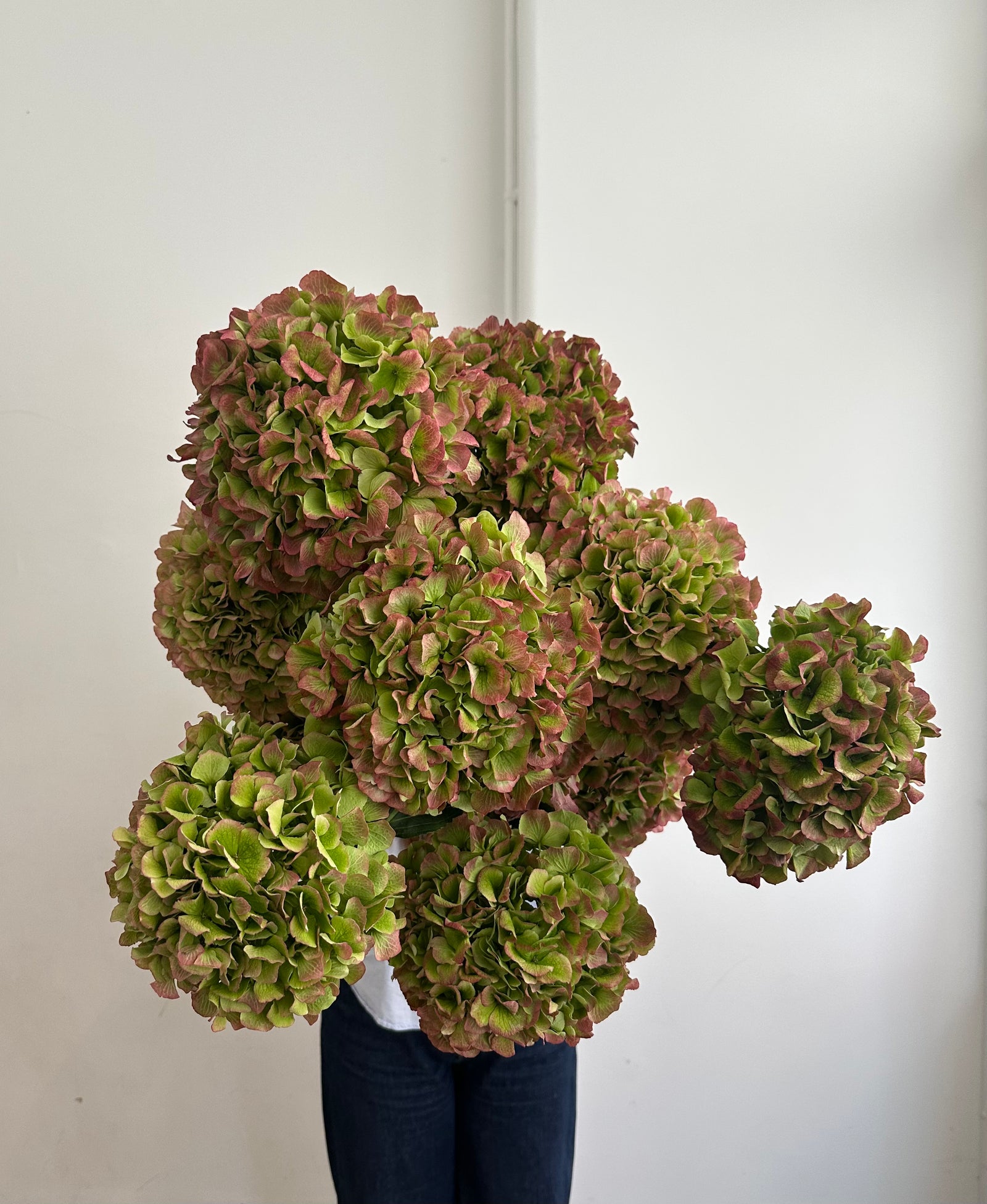 Autumnal Hydrangea Bouquet