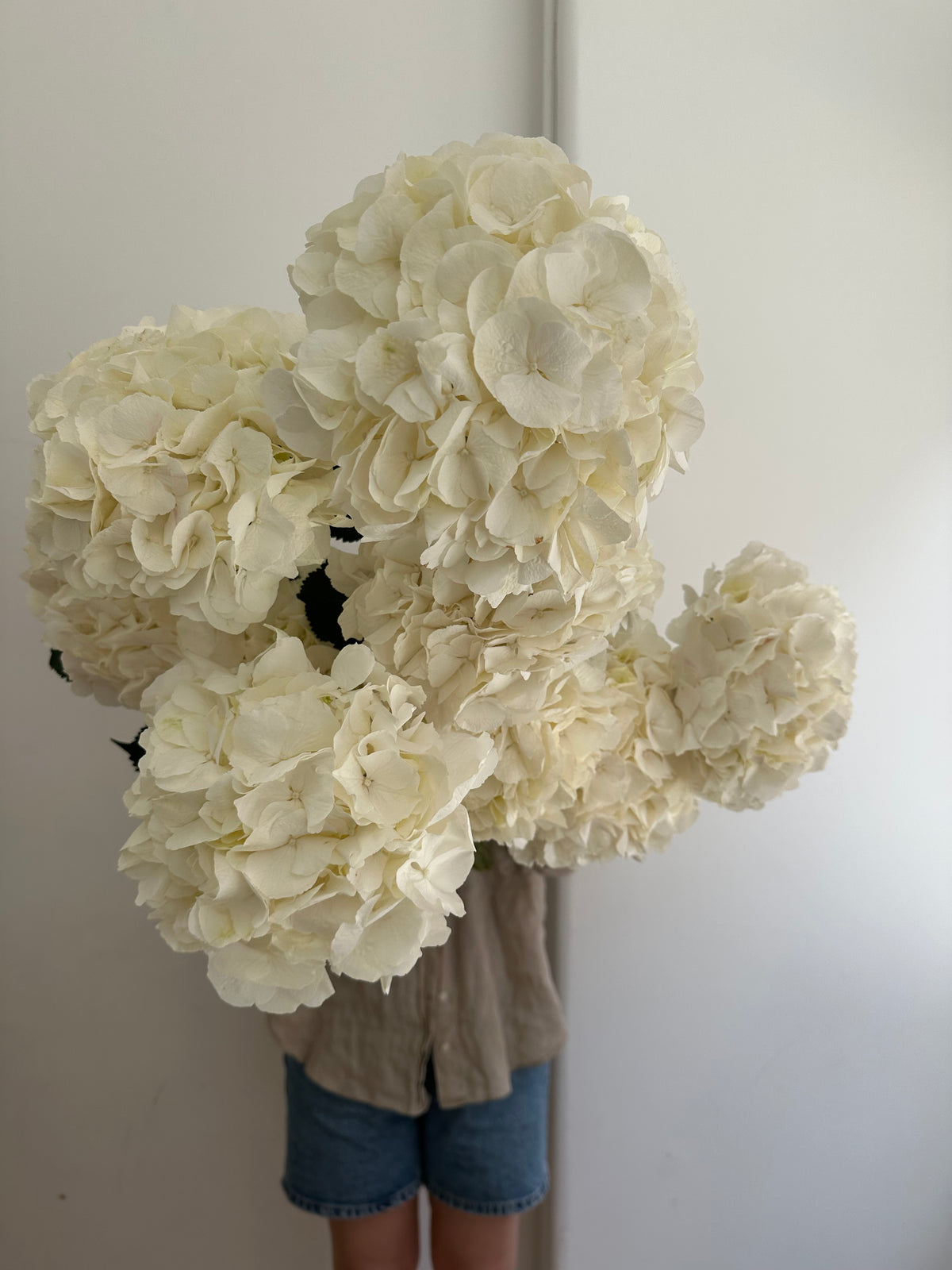 White Hydrangea Bouquet