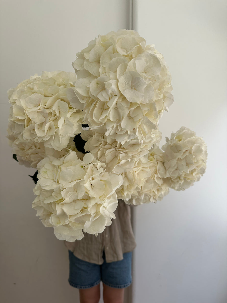 White Hydrangea Bouquet