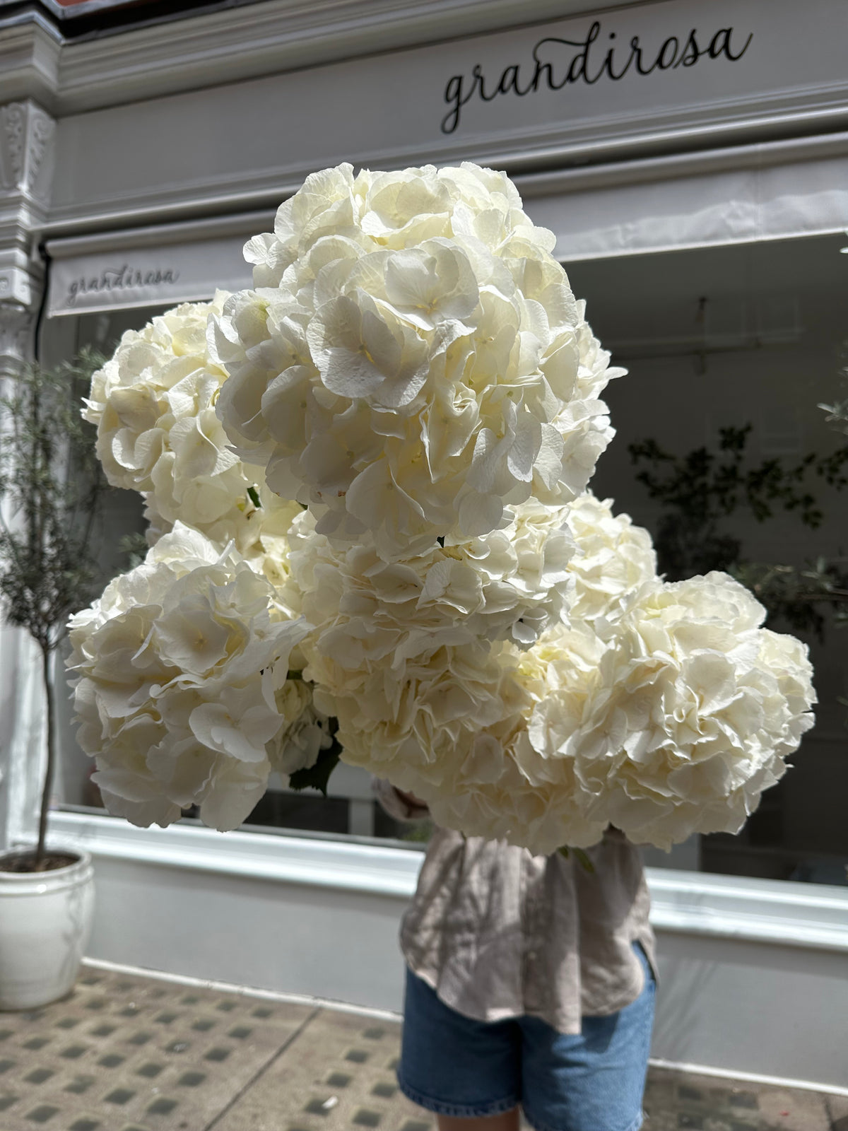 White Hydrangea Bouquet