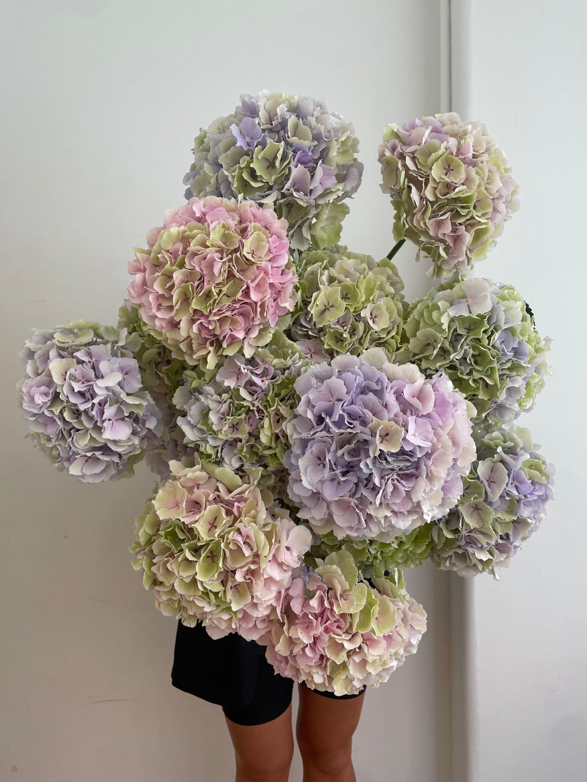 PASTEL HYDRANGEA BOUQUET image 0