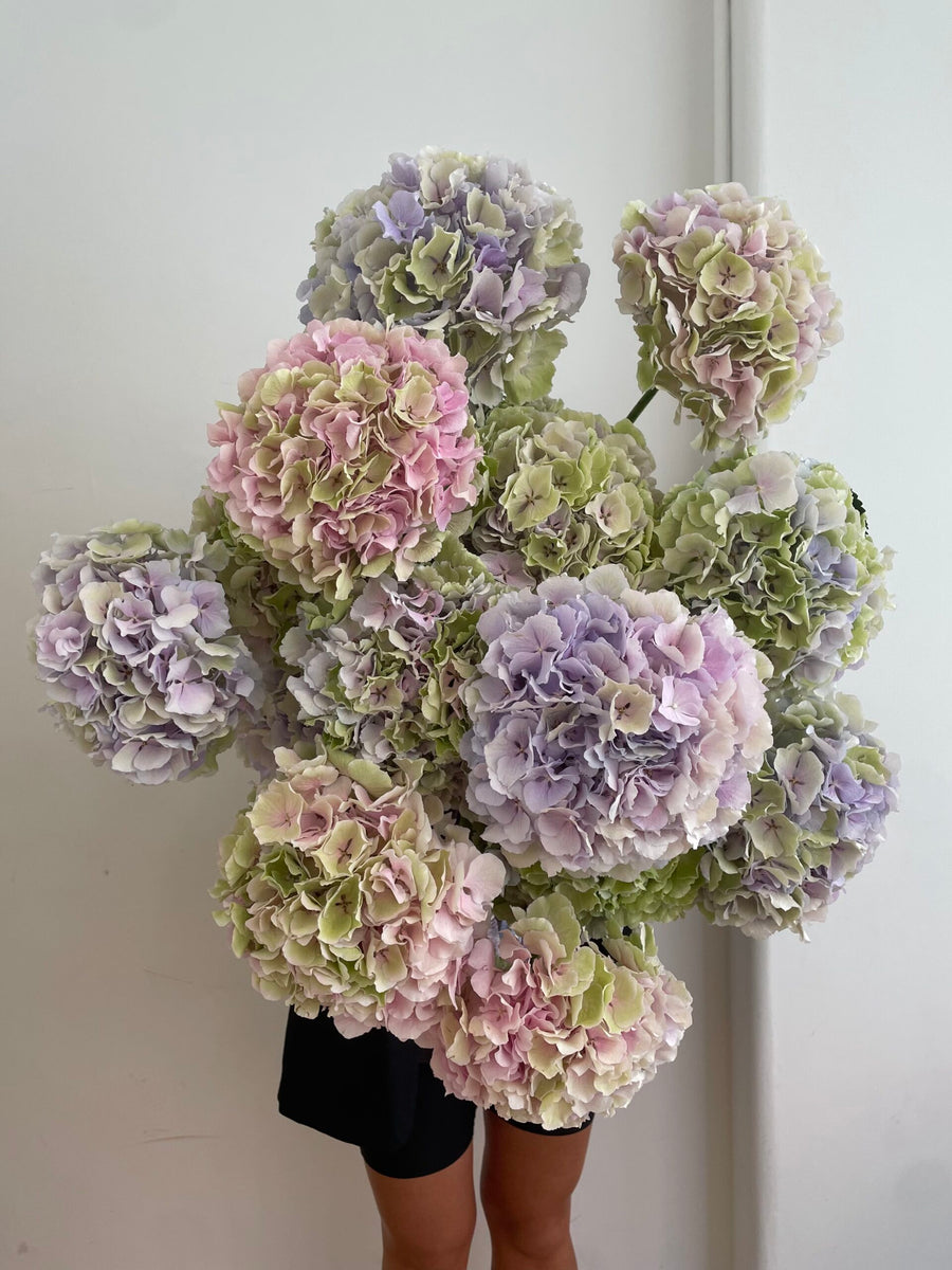 PASTEL HYDRANGEA BOUQUET image 0